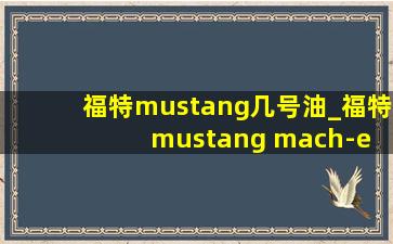 福特mustang几号油_福特mustang mach-e gt